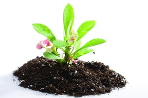 榆樹市電線電纜有限責(zé)任公司